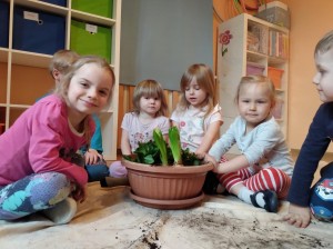 IMG_20210416_102755449